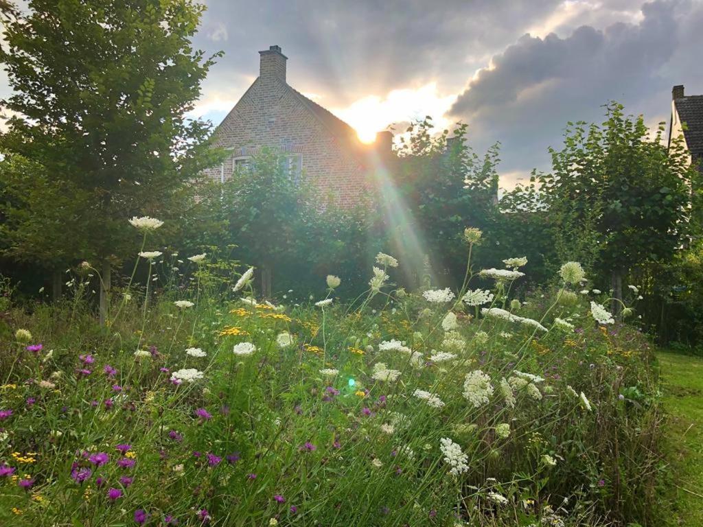 B&B Helena'S Hoeve Buggenum Exterior foto